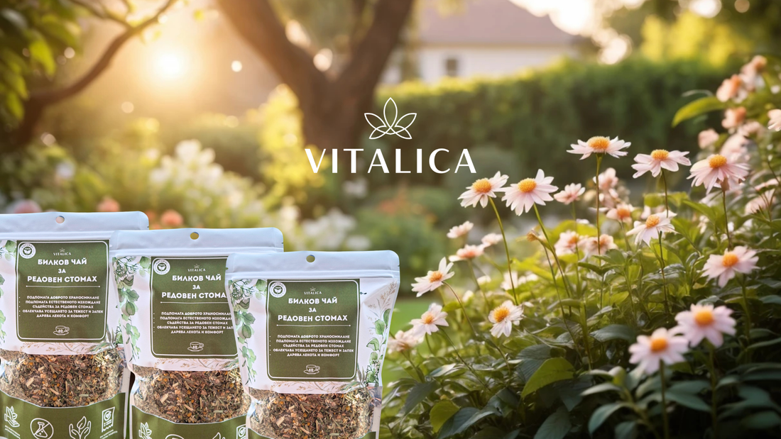 4 доказани билки, които помагат при запек и подут корем (и как да ги използваш правилно)